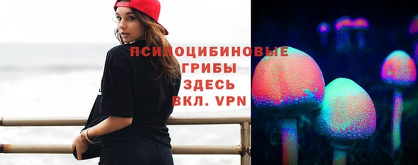 бошки Волосово