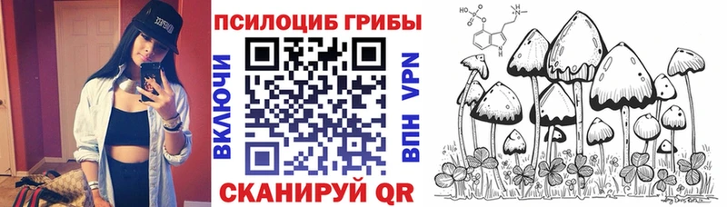 Псилоцибиновые грибы GOLDEN TEACHER Ярцево